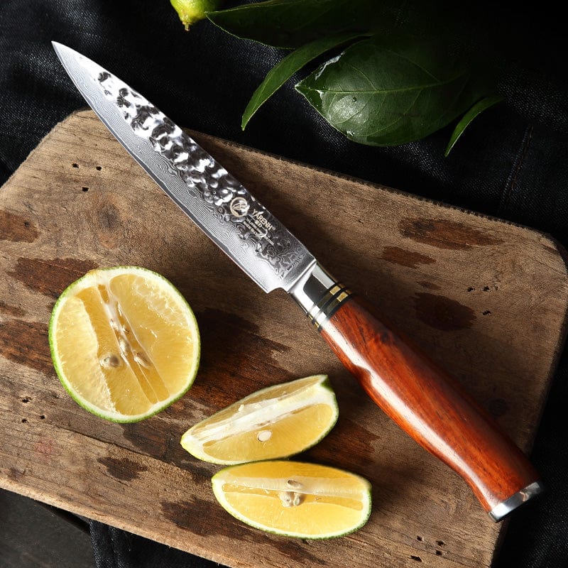 5 Inch Japanese Steak Knife