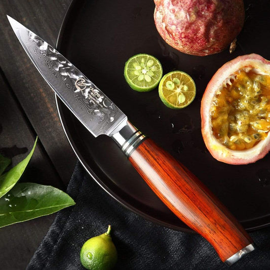 HTT Series - Damascus Paring Knife 3.5 inch yarenh Damascus Steel