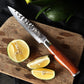 Damascus Utility Knife 5 inch-HTT Series yarenh Damascus Utility knife
