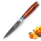 FYW Series - Damascus Fruit Knife 5 inch yarenh Damascus Steel