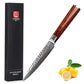 HYZ Series - Damascus Fruit Knife 5 inch yarenh Damascus Steel