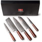 HYZ Series - Damascus Kitchen Knife Set 5 Piece yarenh Damascus Steel